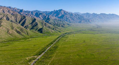 美麗中國丨綠染賀蘭山