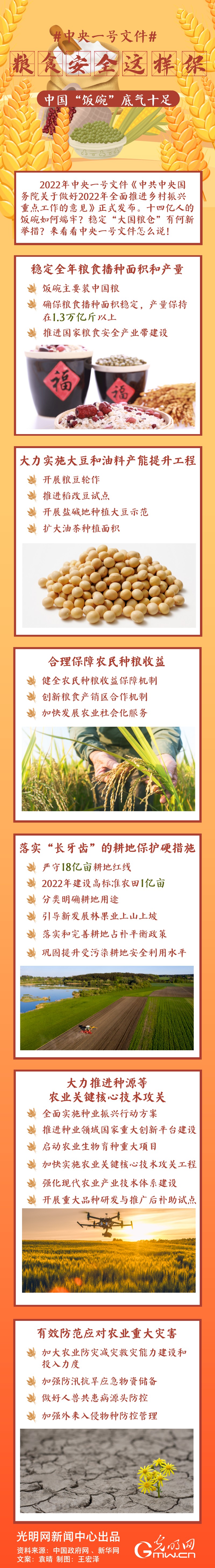 中央一號文件｜糧食安全這樣保，中國“飯碗”底氣十足