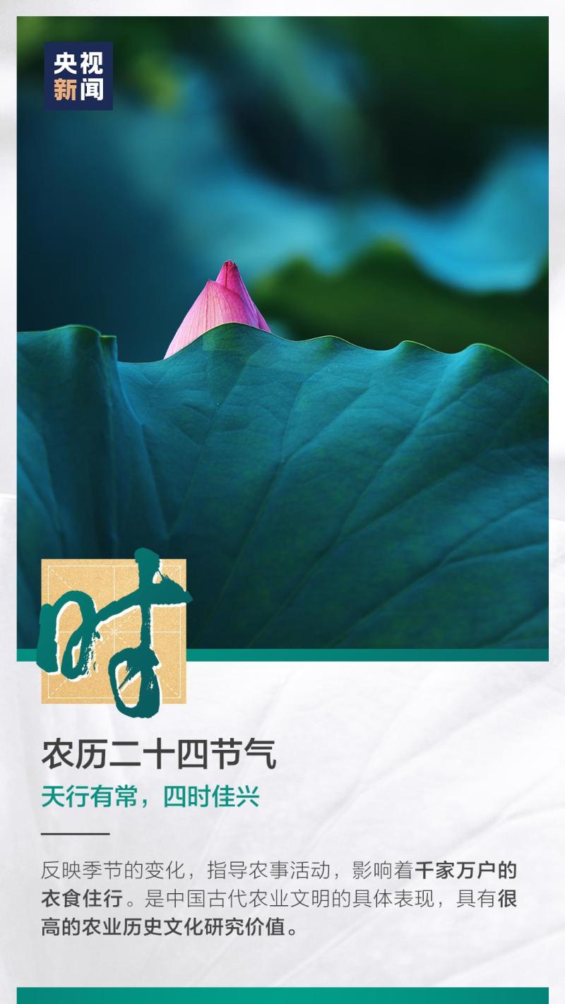 這也太浪漫了吧！