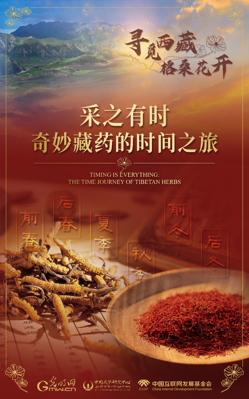 【尋覓西藏·格?；ㄩ_】采之有時(shí)：奇妙藏藥的時(shí)間之旅