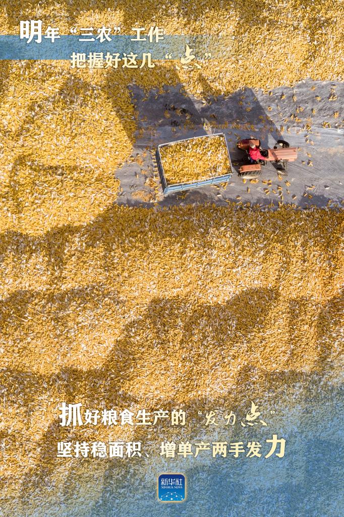 明年“三農(nóng)”工作，這幾個(gè)“點(diǎn)”要把握好