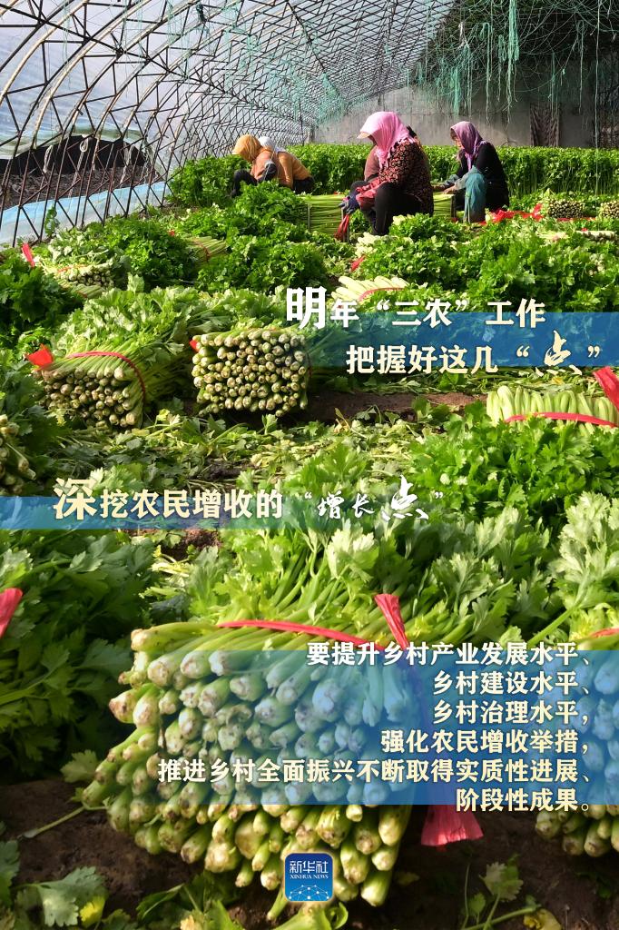 明年“三農(nóng)”工作，這幾個(gè)“點(diǎn)”要把握好