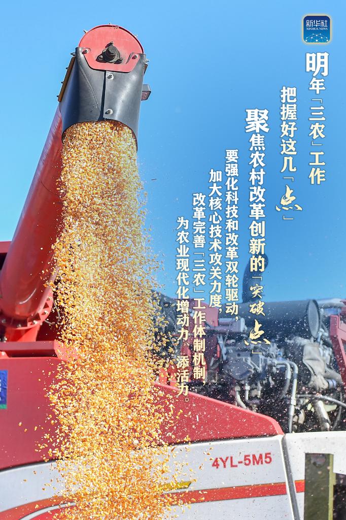 明年“三農(nóng)”工作，這幾個(gè)“點(diǎn)”要把握好