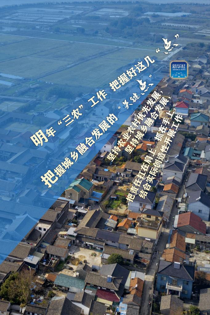 明年“三農(nóng)”工作，這幾個(gè)“點(diǎn)”要把握好