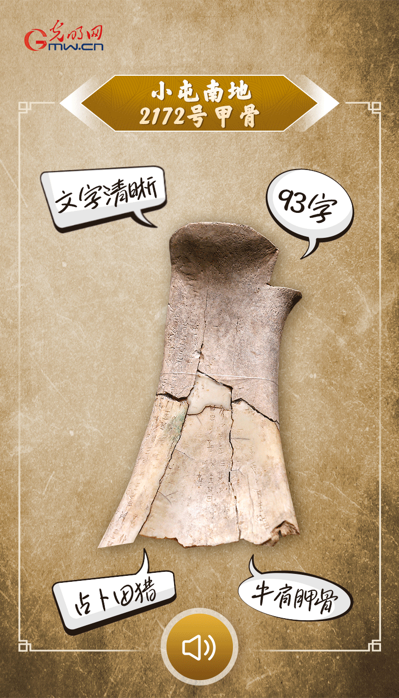 文物會說話 | 殷墟博物館新館開館啦，帶你奔赴“千年之約”