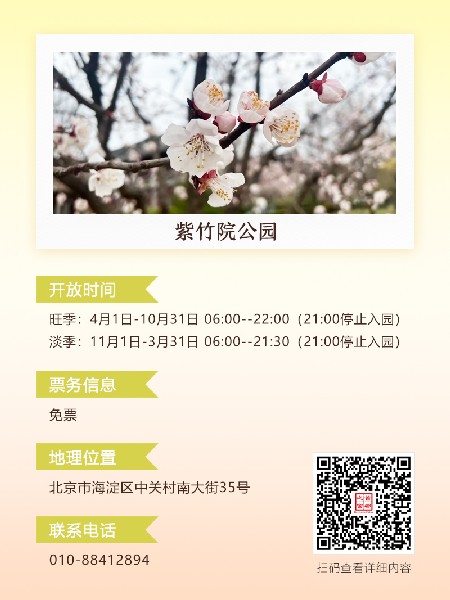 追花指南第六期！杏花雨 楊柳風(fēng) 北京最美的杏花在這里