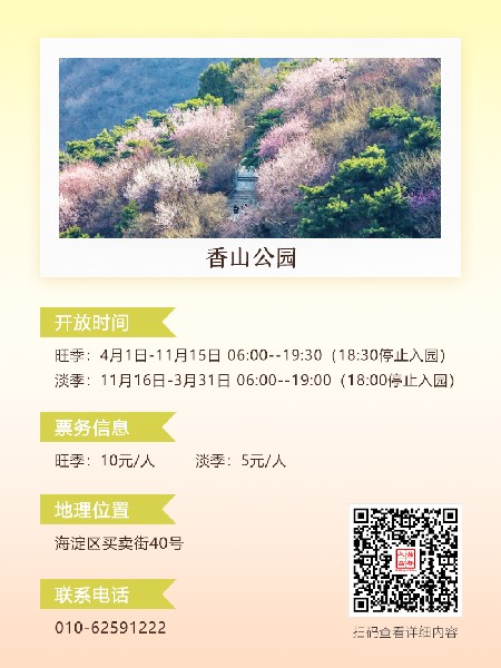 追花指南第六期！杏花雨 楊柳風(fēng) 北京最美的杏花在這里