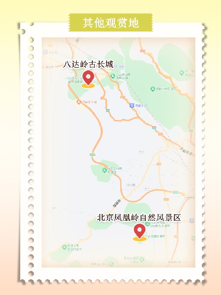 追花指南第六期！杏花雨 楊柳風(fēng) 北京最美的杏花在這里