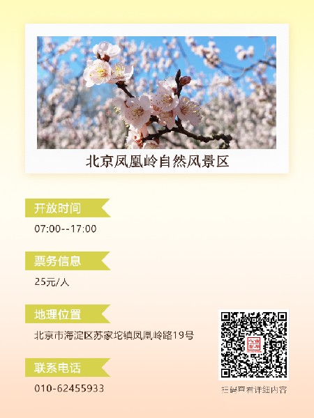 追花指南第六期！杏花雨 楊柳風(fēng) 北京最美的杏花在這里