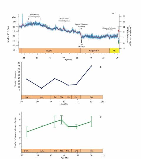 早始新世至早漸新世東亞嚙齒類屬級多樣性變化?！≈锌圃汗偶棺邓?供圖