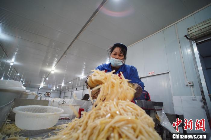 圖為一名工人正在處理切成條狀后的酸筍?！№f國政 攝