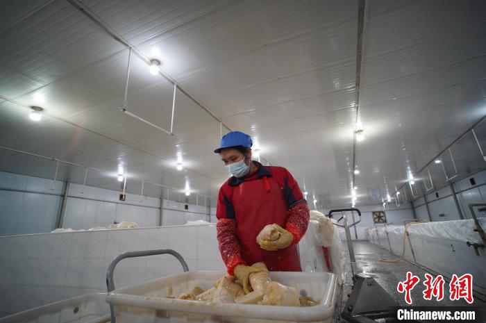 圖為一名工人正在查看酸筍腌制效果?！№f國政 攝