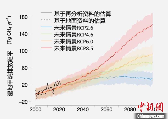 基于觀測(cè)的濕地甲烷排放變化與未來(lái)氣候變化情景下估算的對(duì)比?！≈锌圃呵嗖馗咴?供圖