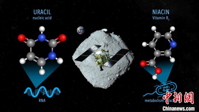 國際最新研究稱，近地小行星“龍宮”上發(fā)現(xiàn)尿嘧啶等核酸堿基