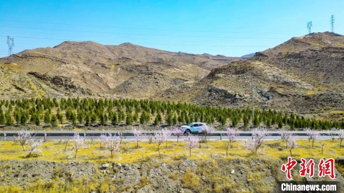 生態(tài)修復(fù)后逐漸變綠的賀蘭山石嘴山段?！∈焐绞形麄鞑抗﹫D