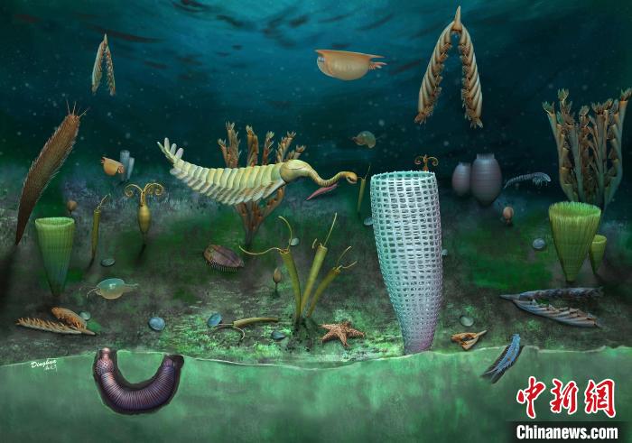 Castle Bank動物群藝術(shù)復(fù)原圖(Yang Dinghua繪制)?！∈┢樟指瘛ぷ匀?供圖