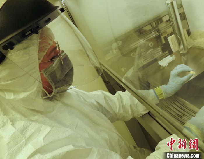 Elena Essel在凈室中處理鹿牙墜飾(圖片來自馬克斯·普朗克演化人類學(xué)研究所)?！∈┢樟指瘛ぷ匀?供圖