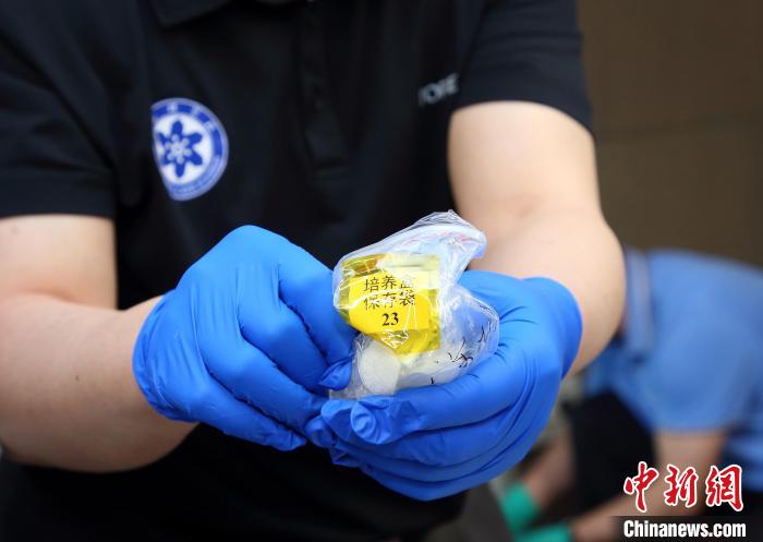 隨神舟十五號(hào)返回地面的空間科學(xué)實(shí)驗(yàn)樣品?！≈锌圃嚎臻g應(yīng)用中心 供圖