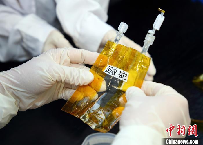隨神舟十五號(hào)返回地面的空間科學(xué)實(shí)驗(yàn)樣品?！≈锌圃嚎臻g應(yīng)用中心 供圖