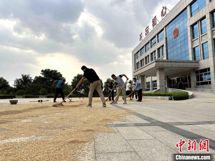 平原縣組織志愿者幫助農(nóng)民晾曬小麥?！垈?攝