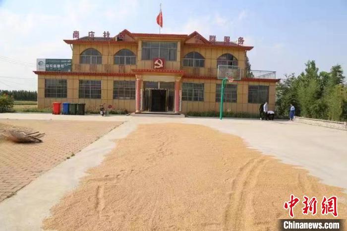 農(nóng)民在邳莊鎮(zhèn)尚莊村黨群服務(wù)中心大院里曬糧?！≠Z萌 攝