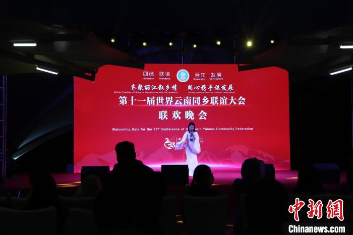圖為第十一屆世界云南同鄉(xiāng)聯(lián)誼大會舉辦聯(lián)歡晚會?！〈抻澜?攝