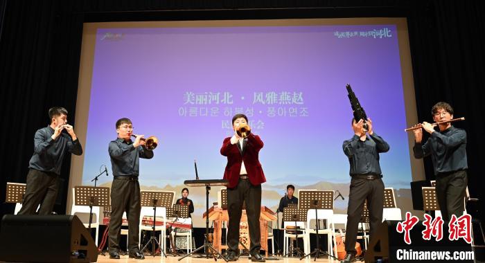 圖為音樂會現(xiàn)場?！∈谞栔袊幕行墓﹫D