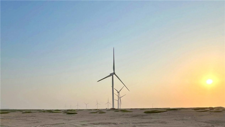 圖為阿聯(lián)酋風(fēng)電示范項目在阿布扎比薩爾巴尼亞斯島上的風(fēng)電場。 中國電建供圖