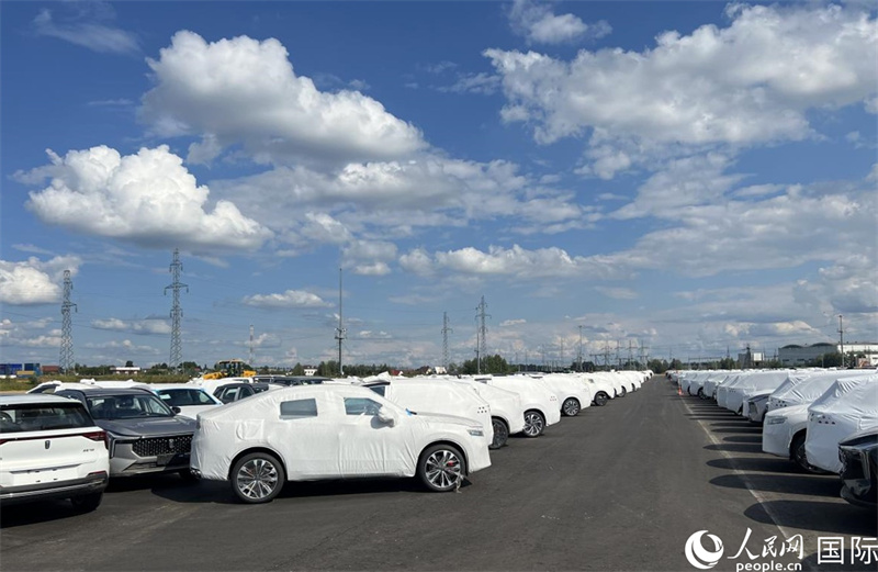 莫斯科別雷拉斯特物流中心內(nèi)的中國品牌汽車。人民網(wǎng)記者 申佳平攝