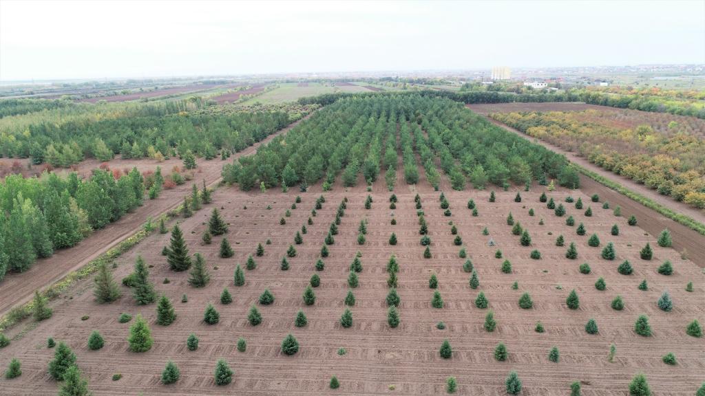 這是2023年9月11日在哈薩克斯坦首都阿斯塔納拍攝的一處植物種質(zhì)資源苗圃（無人機照片）。新華社發(fā)（法爾哈特·圖克諾夫 攝）