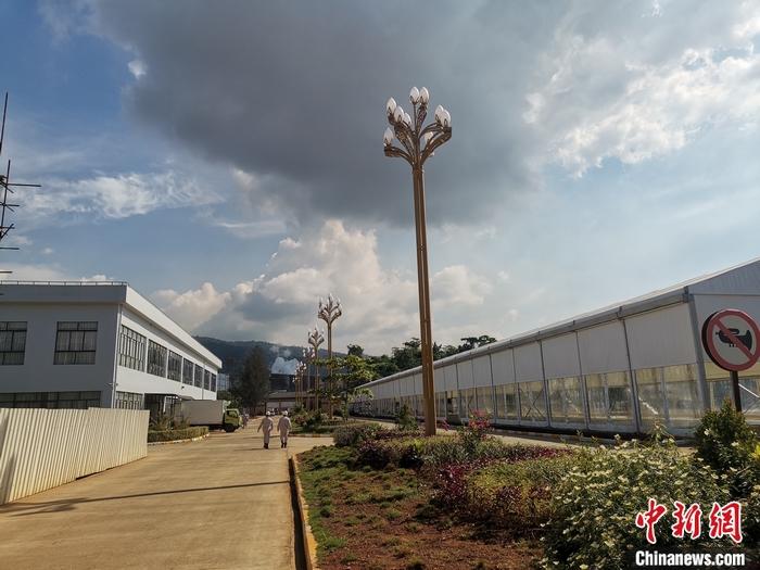 圖為園區(qū)生活區(qū)。 受訪者供圖