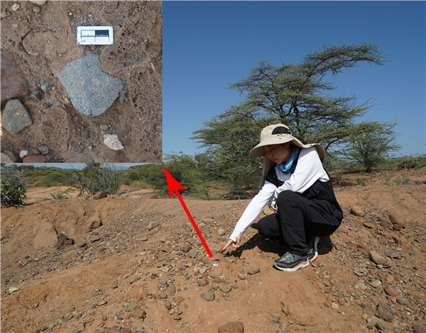 地層中的勒瓦婁哇石片。中肯聯(lián)合考古隊供圖