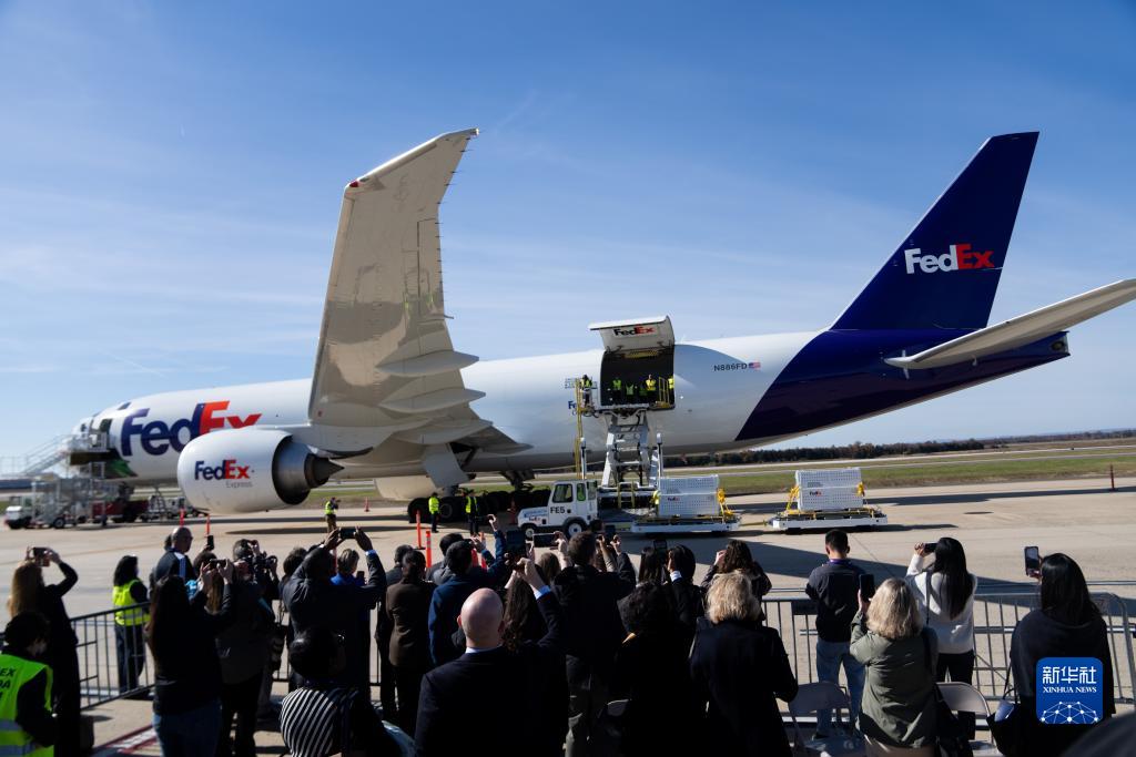 11月8日，在美國弗吉尼亞州的華盛頓杜勒斯國際機場，裝有大熊貓的特制“旅行包廂”準備運上專機。新華社記者劉杰攝