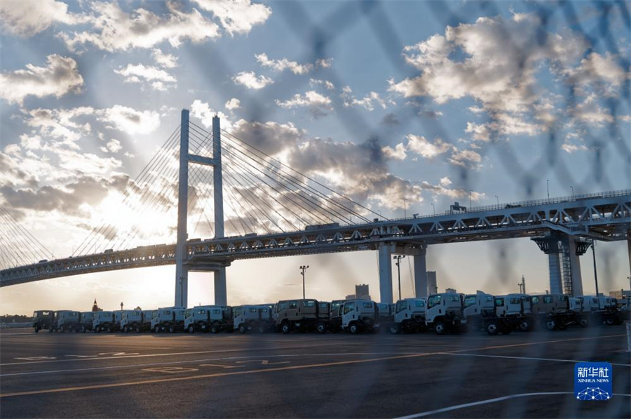 這是11月14日在日本橫濱拍攝的進出口汽車集散場地。新華社記者 張笑宇 攝