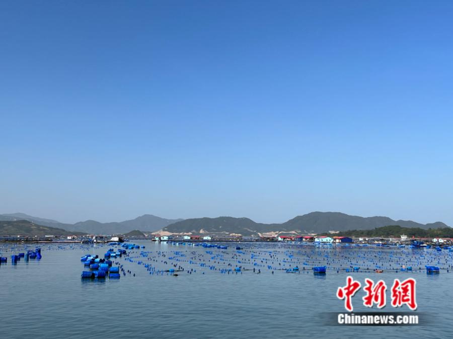 霞浦縣海上魚(yú)排。<a target='_blank' href='/' ><p  align=