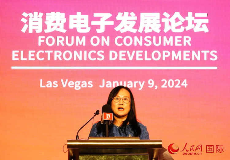 中國機(jī)電產(chǎn)品進(jìn)出口商會(huì)副會(huì)長(zhǎng)劉春致辭。人民網(wǎng)記者 鄧圩攝