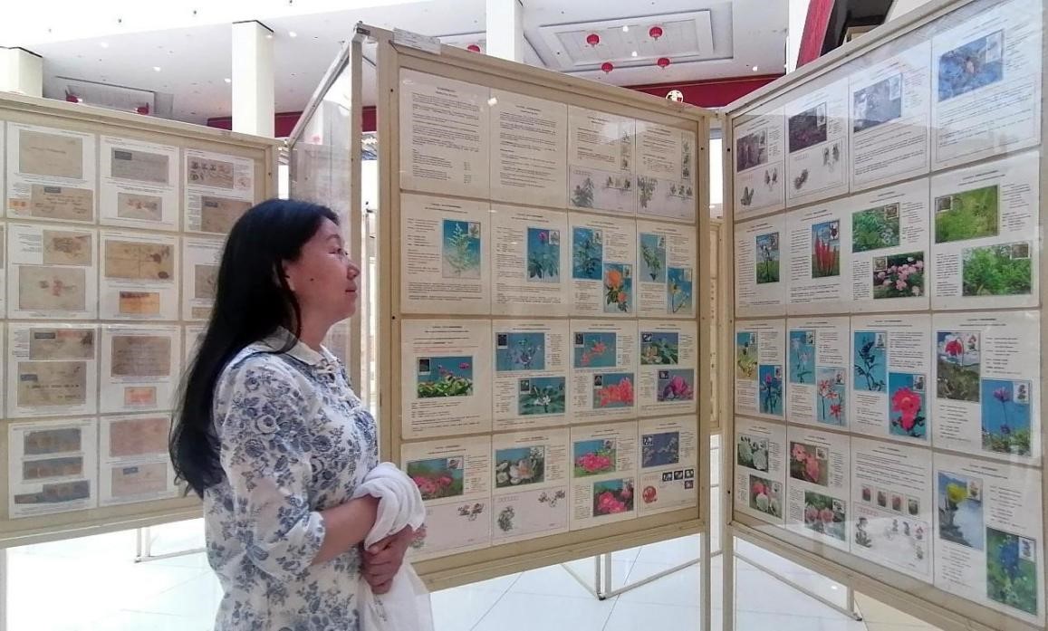 藥用植物極限片展覽場景。第七屆阿聯(lián)酋集郵展主辦方供圖