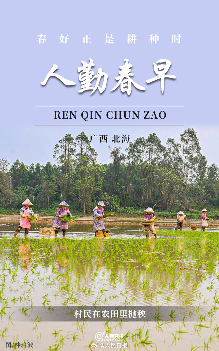 生機盎然！用課本封面打開春耕畫卷