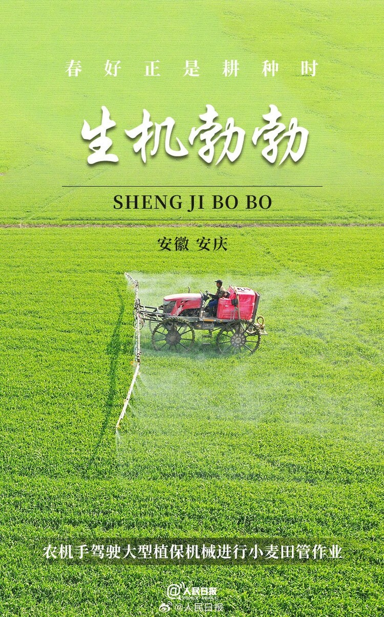 生機盎然！用課本封面打開春耕畫卷