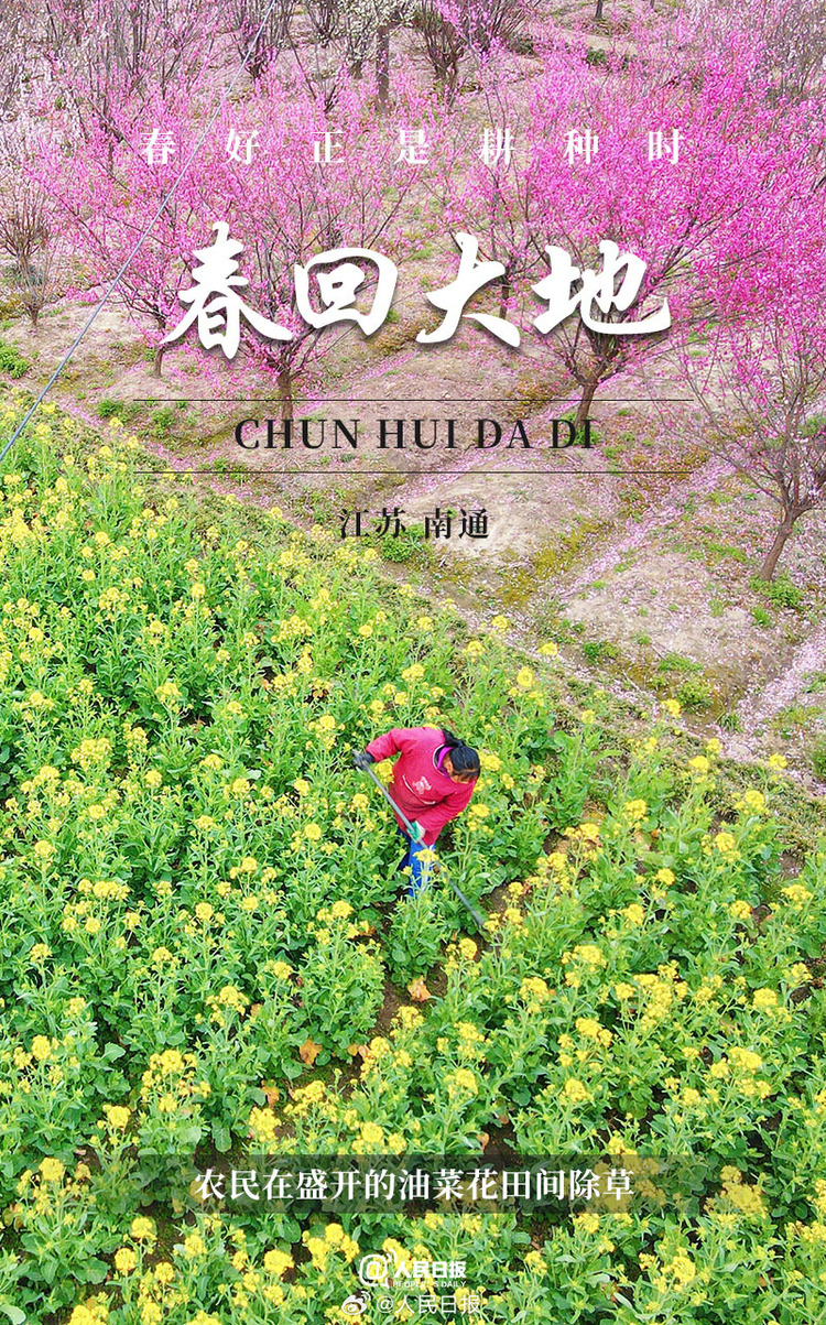 生機盎然！用課本封面打開春耕畫卷