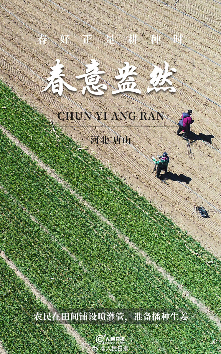 生機盎然！用課本封面打開春耕畫卷