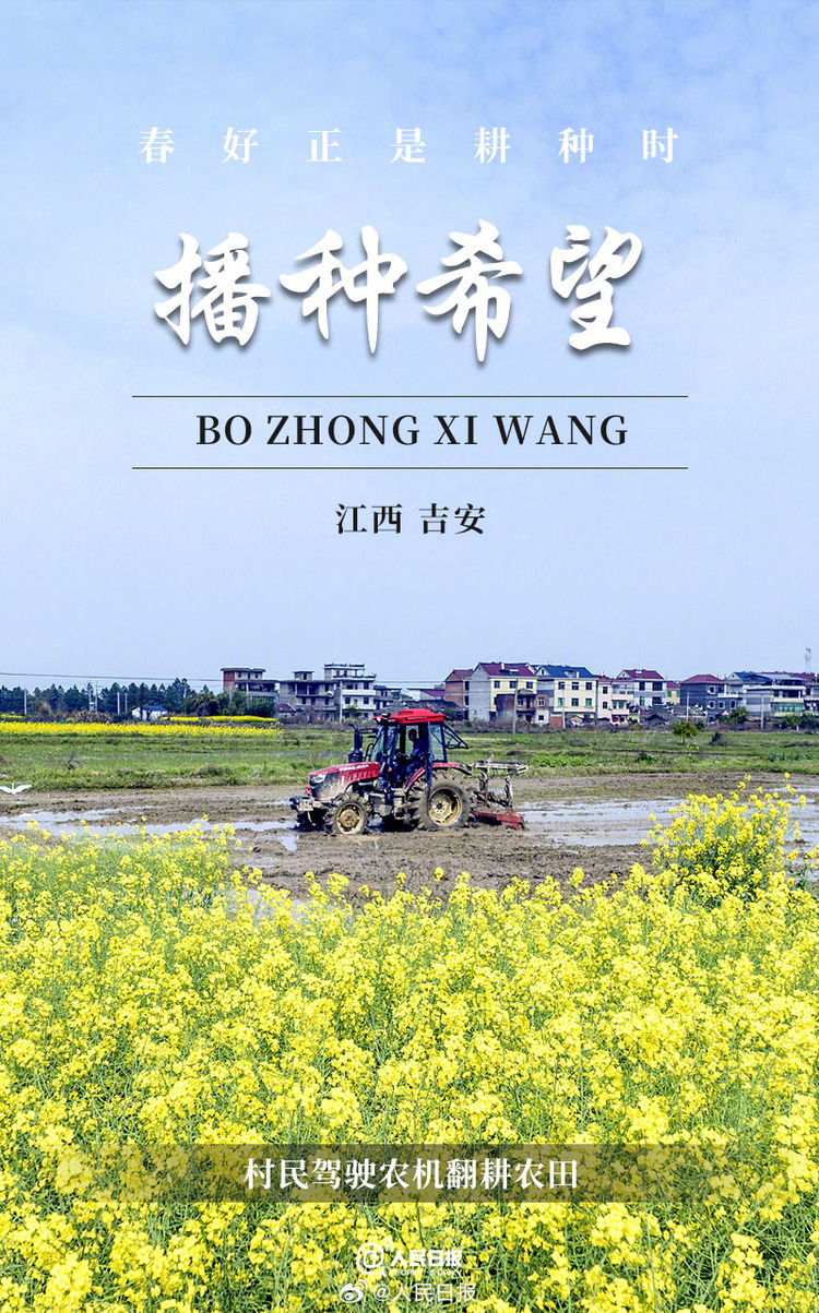 生機盎然！用課本封面打開春耕畫卷