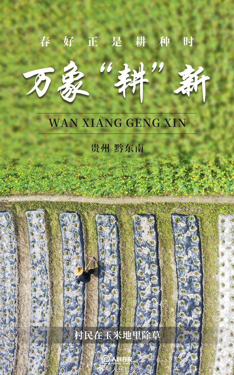 生機盎然！用課本封面打開春耕畫卷