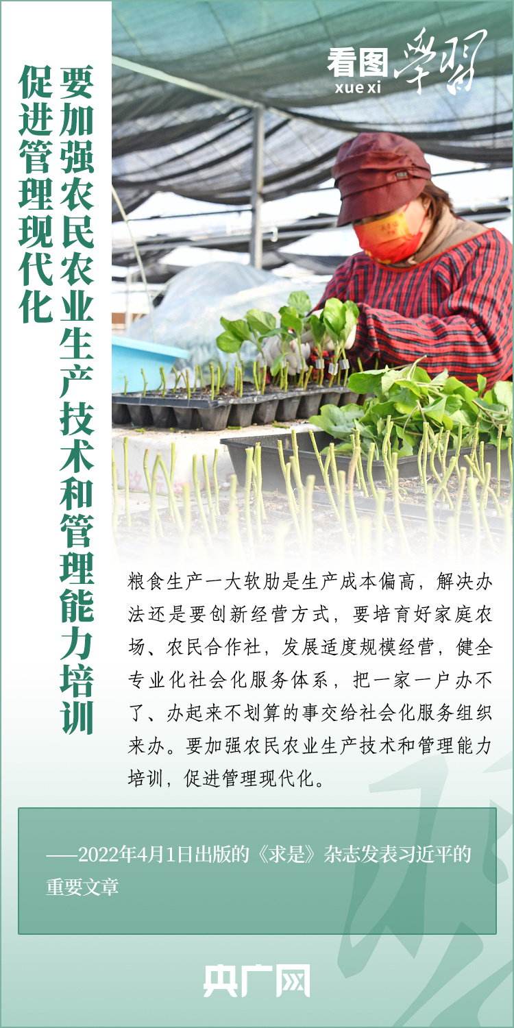 看圖學(xué)習(xí)丨推廣良田、良種、良法、良機(jī) 給農(nóng)業(yè)現(xiàn)代化插上科技的翅膀