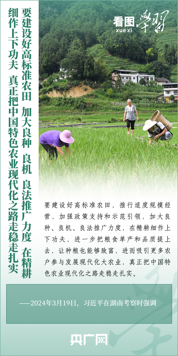 看圖學(xué)習(xí)丨推廣良田、良種、良法、良機(jī) 給農(nóng)業(yè)現(xiàn)代化插上科技的翅膀