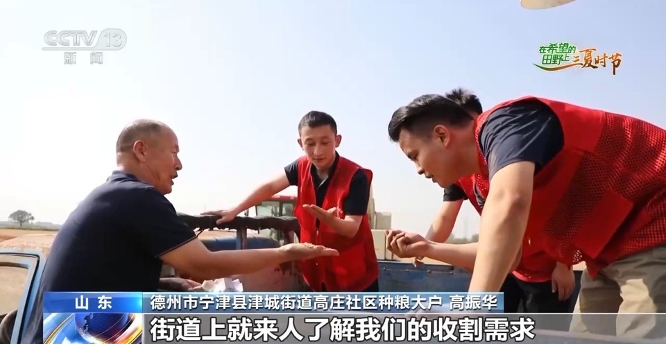 “三夏”生產(chǎn)思維導圖安排上了！還有政府大院等你來“曬”