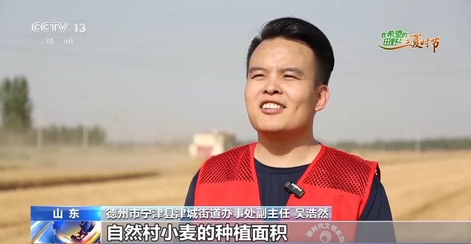 “三夏”生產(chǎn)思維導圖安排上了！還有政府大院等你來“曬”