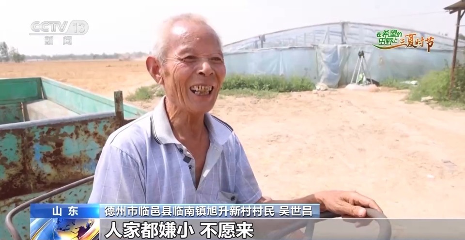 “三夏”生產(chǎn)思維導圖安排上了！還有政府大院等你來“曬”