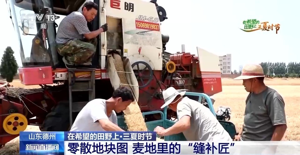 “三夏”生產(chǎn)思維導圖安排上了！還有政府大院等你來“曬”