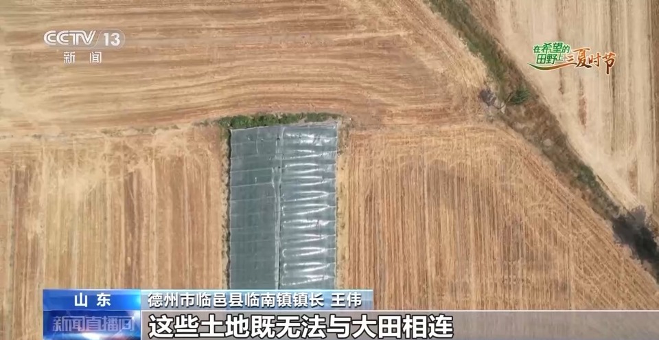 “三夏”生產(chǎn)思維導圖安排上了！還有政府大院等你來“曬”